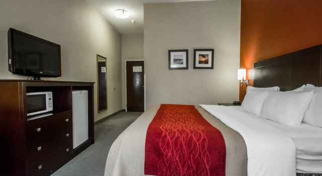 Номер Standard Wingate by Wyndham Biloxi - Ocean Springs