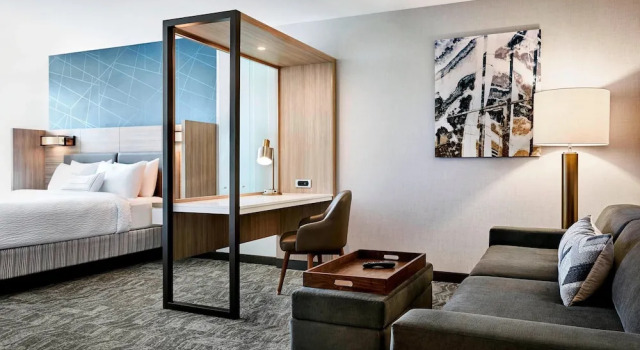 Двухместный люкс Springhill Suites by Marriott