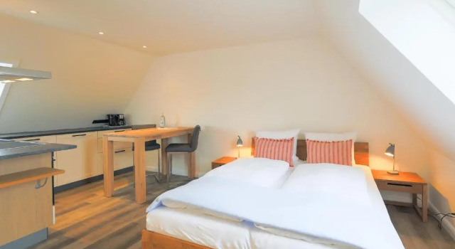 Апартаменты Appartement Friesländer