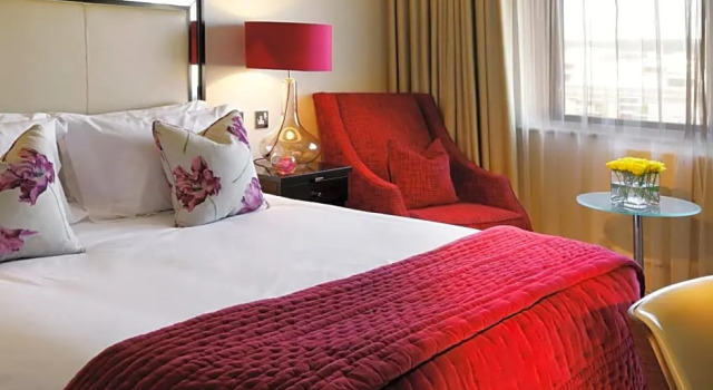 Deluxe cameră The Bristol Hotel