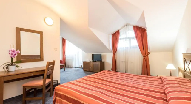 Двухместный номер Standard Evelina Palace Hotel