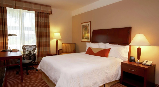 Двухместный номер Standard Hilton Garden Inn Toronto Airport