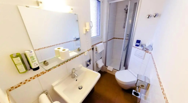 Двухместный номер Superior Hotel zum Ritter St Georg - Oldest Residential Building in Heidelberg