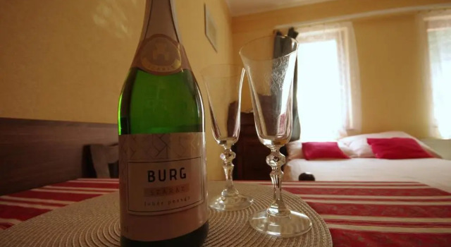 Апартаменты Standard Burg Apartman