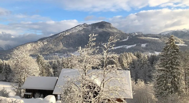 Апартаменты c 1 комнатой с видом на горы Comfort Apartment Goisernperle - Near Hallstatt