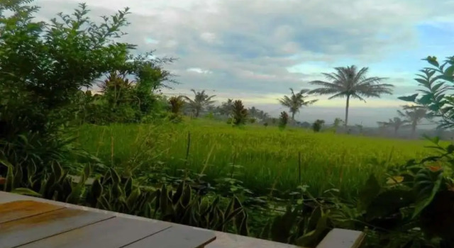 Kampoeng Tourist Homestay, Reserva ahora Hotel Licin Java Oriental