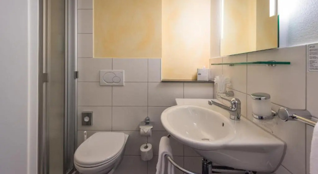 Номер Standard Parkhotel Gunten - Beach & Spa