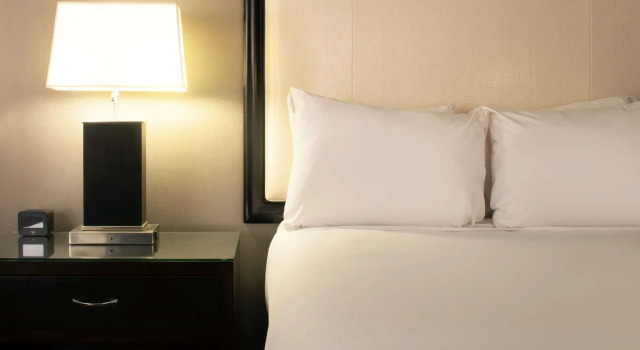 Четырёхместный номер Standard Hilton Alexandria Old Town