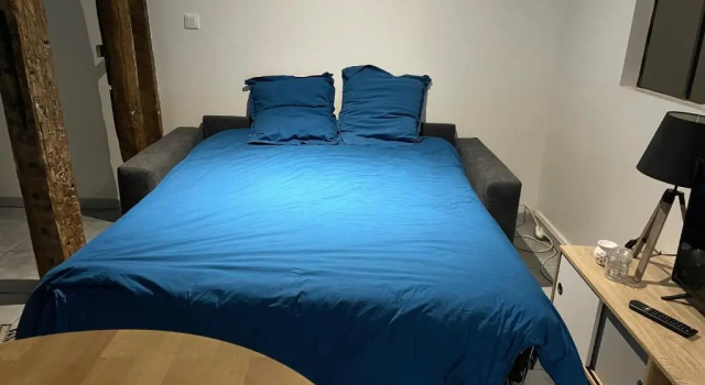 Апартаменты Joli appartement quartier historique