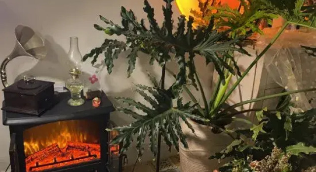 Beijing Lijia Homestay, Book Hotel Hoteller i Beijing Province med parkering, Parkering