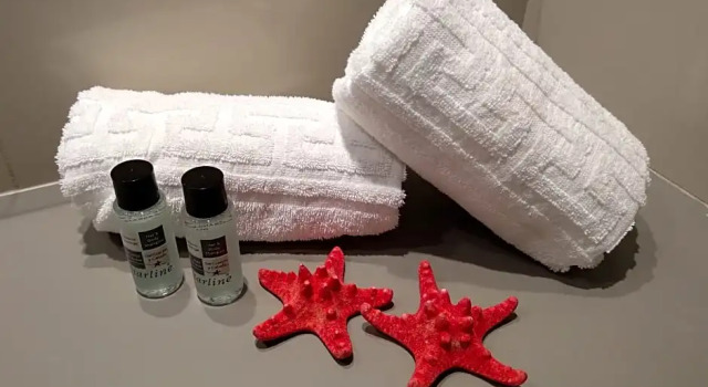 Студия с видом на море Aparthotel Nereida