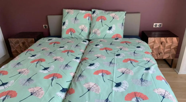 L'appartement et les Suites de VJL..., Rezervovat Hotel Kanton Avize Champagne