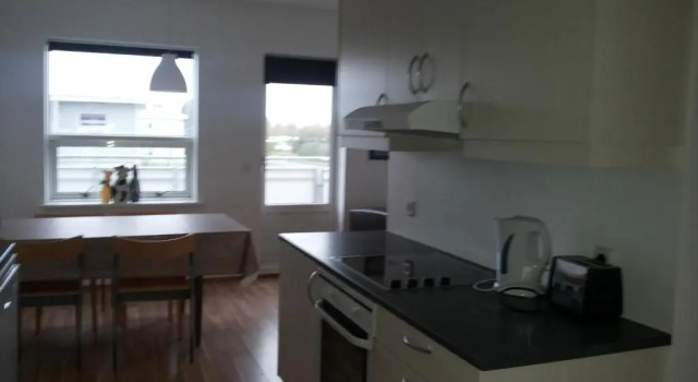 Апартаменты c 1 комнатой с балконом Borg Apartments