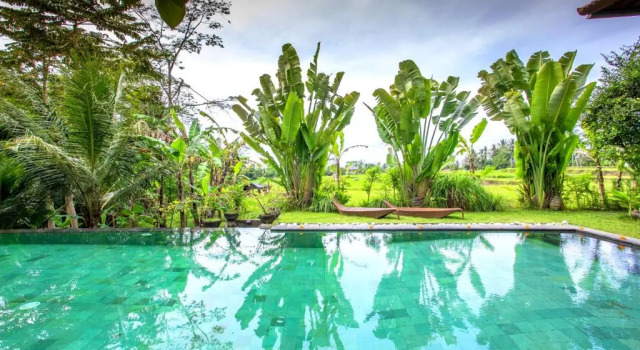 Villa Viola, Reservar Vila Hotéis em Bali com piscina, Piscina