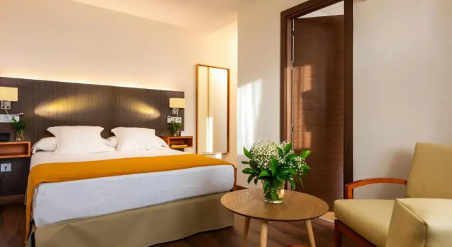 Двухместный номер Hotel de Francia y París