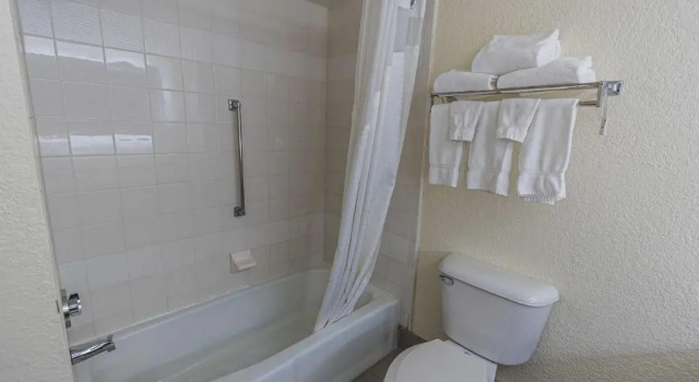 Номер Standard Wyndham Flint MI Grand Blanc Bishop Airport Conference Ct