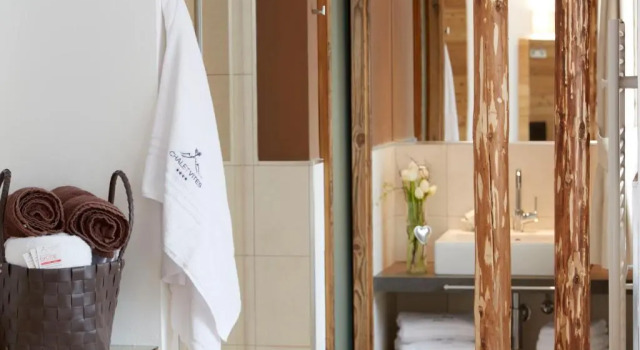Люкс Chalet Vites Mountain Hotel