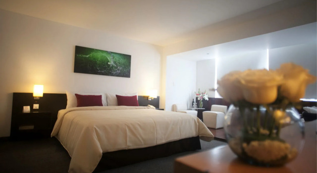 Palmetto Hotel Business San Borja