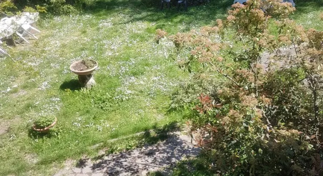 Апартаменты с 2 комнатами с видом на сад Agriturismo Piccola Raieda