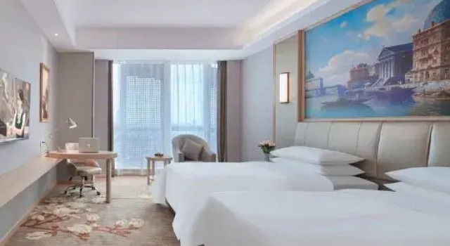 Vienna International Hotel (Hefei Gaoxin District Xiangzhang Avenue)