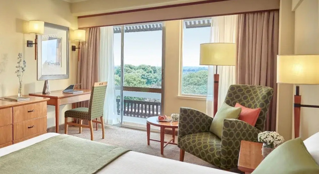 Двухместный номер Standard с балконом The Pamodzi Hotel