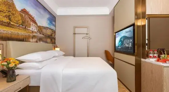 Vienna Hotel (East Railway Station), Book Hotel Handan Hebei