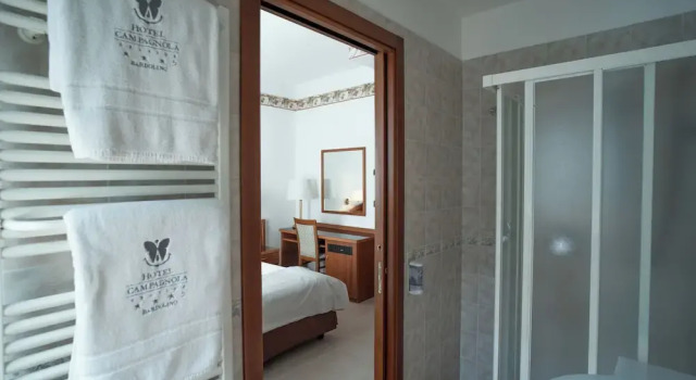 Номер Economy с балконом Hotel Campagnola