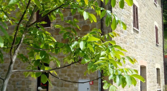 Agriturismo Il Noceto, Varaa Hotelli San Presto Umbria