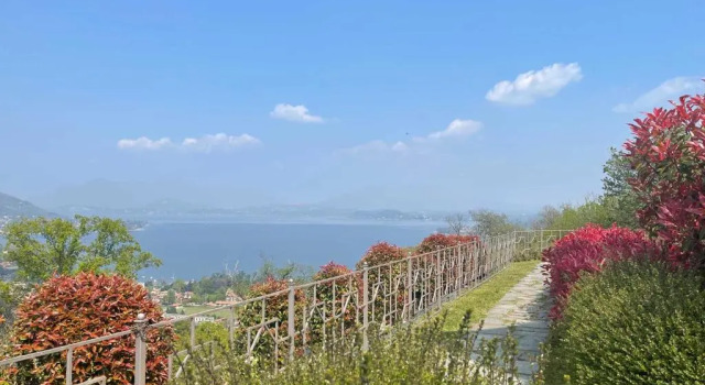 Suite on The Lake, Забронировать Апартаменты/квартира Апартаменты Пьемонта, Апартаменты/квартира