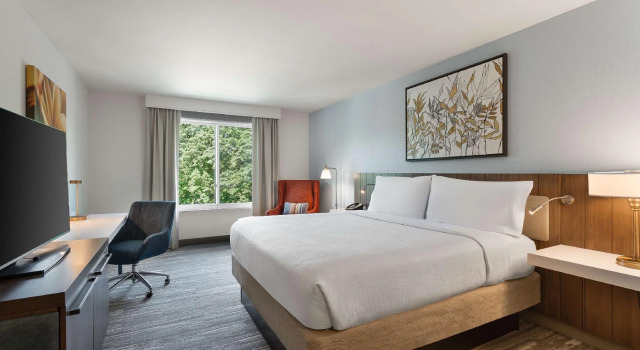 Двухместный номер Standard Hilton Garden Inn Melville