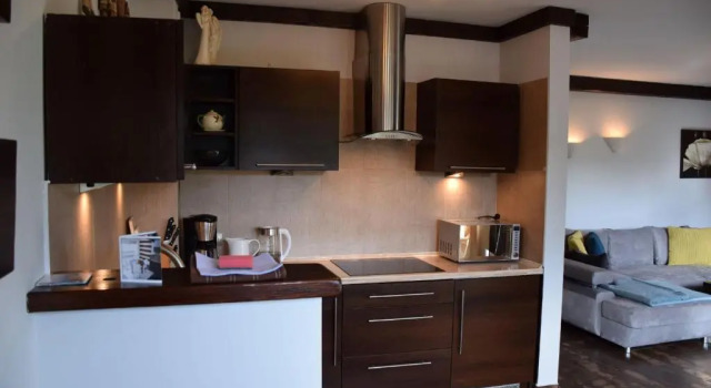 Апартаменты c 1 комнатой Apartamenty Bukowa Wisła