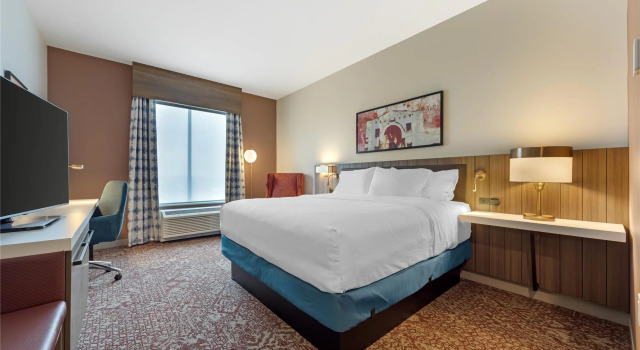 Четырёхместный номер Standard Hilton Garden Inn Media