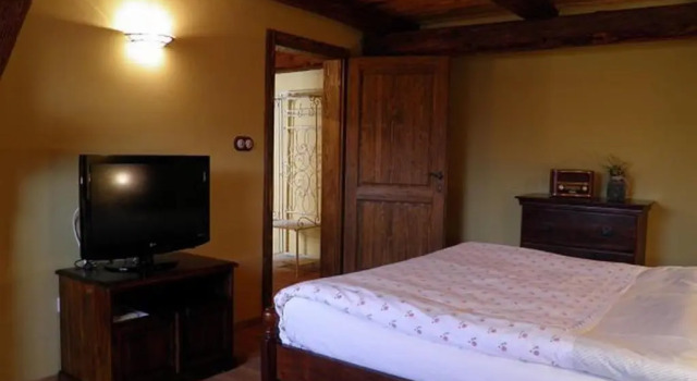 Номер Business Dvůr Olšiny -Hotel and Horse-riding