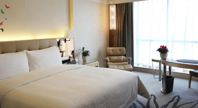 Superior Double room with river view Pullman Linyi Lushang