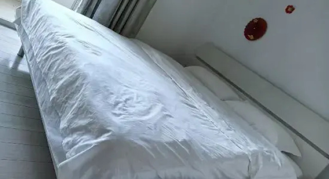 Люкс Deluxe Harbin Jin'aite Apartment