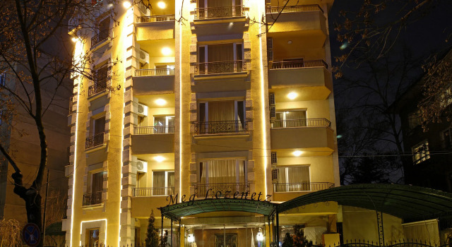 Meg Lozenetz Hotel