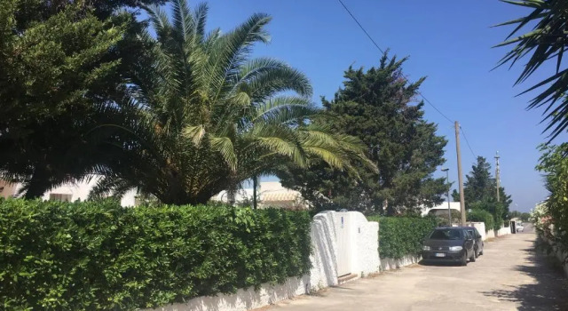 Вилла с видом на сад ALMAREA CORALLO appartamenti in villa - affitto breve