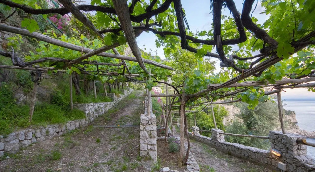 Cannaverde - Amalfi Coast Camp