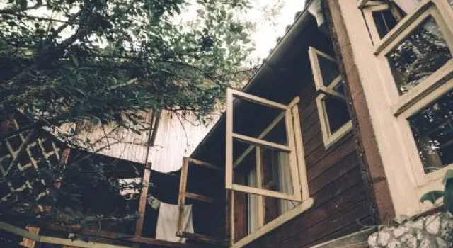 Pura Vida Beach Hostel