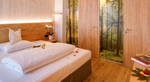 Номер Standard Mountain Design Hotel Eden Selva