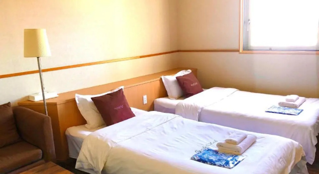 Двухместный номер Economy Ducale Garden Hotel Kujukuri