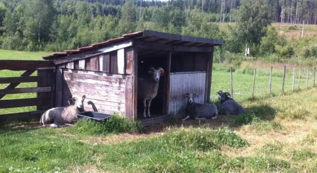 Hedegårds Pensionat, Prenota Hotel Hagfors 