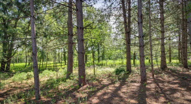 Коттедж Wadena Vacation Rental ~ 1 Mi to Downtown!