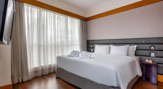 Люкс Premium Wyndham Garden São Paulo Convention Nortel