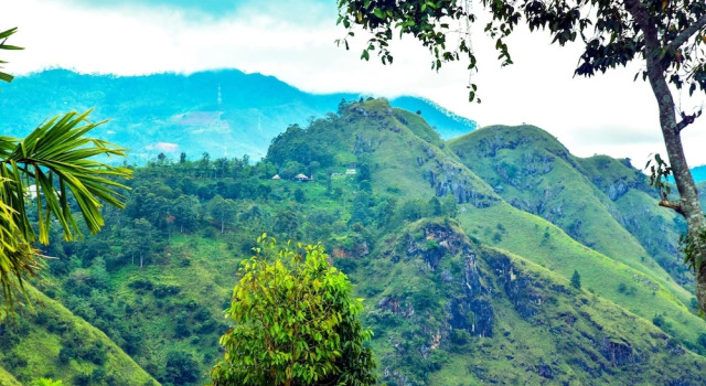 Ella Nimal Nest Inn