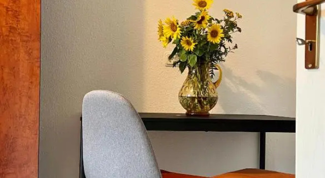 Apartament duplex Anton-Ulrich Apartment