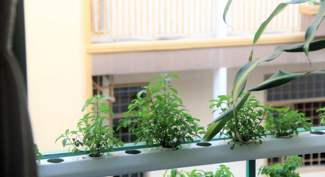 Номер Standard Winter Spring Homestay