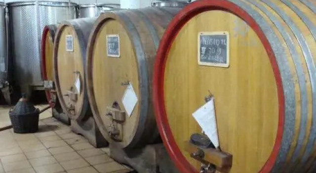 Agriturismo Cascina degli Ulivi