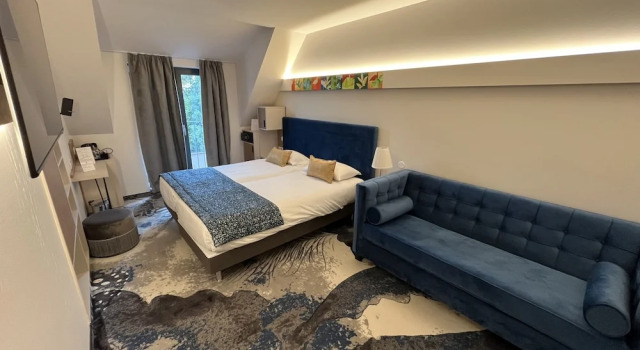 Двухместный номер Executive Brit Hotel, Spa & Restaurant - Colmar Est