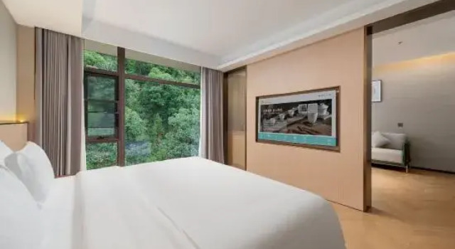 Люкс Business Jiujiu Yuexiang Hotel